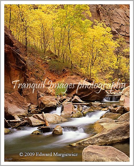 450586   Zion Rapids vertical